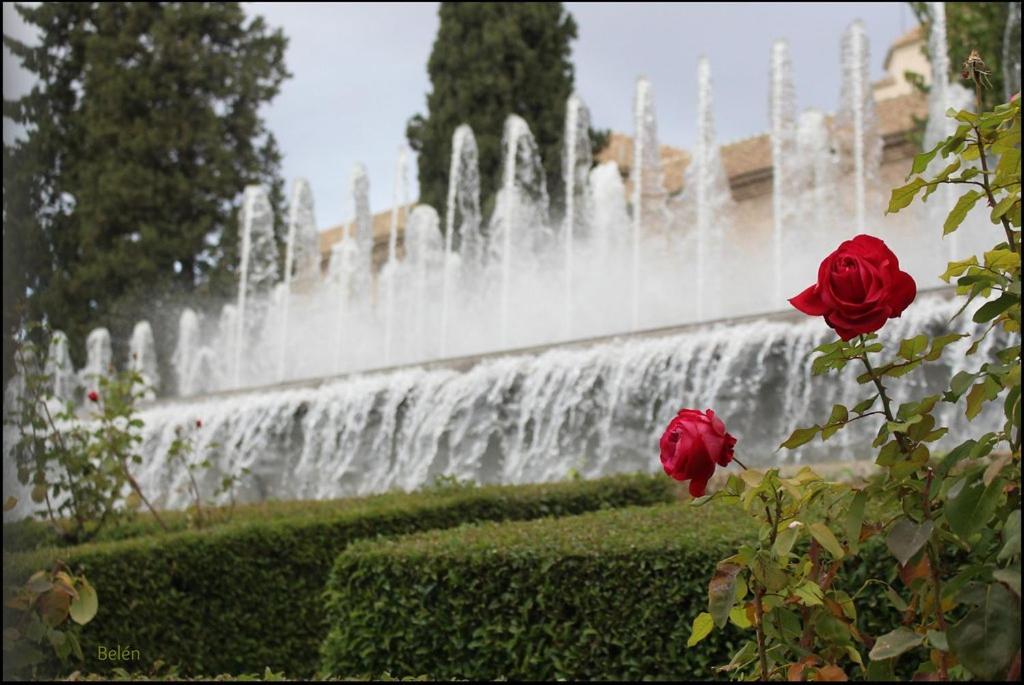 Jardines Del Triunfo Apartamentos Granada Exterior foto